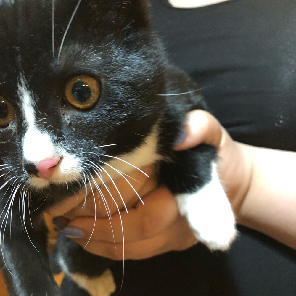 ✨Selling great condition men’s and women’s items.✨